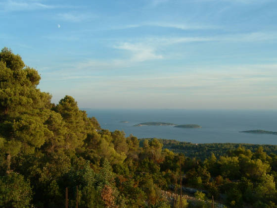 dscf0033.jpg
