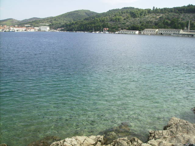 zubaavala07.jpg